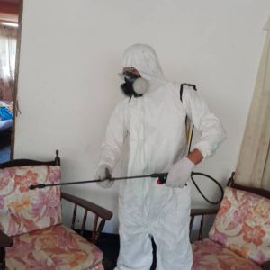 fumigacion de chiripas